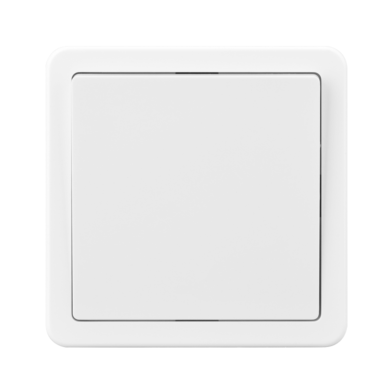 1 GANG 1 WAY SWITCH
