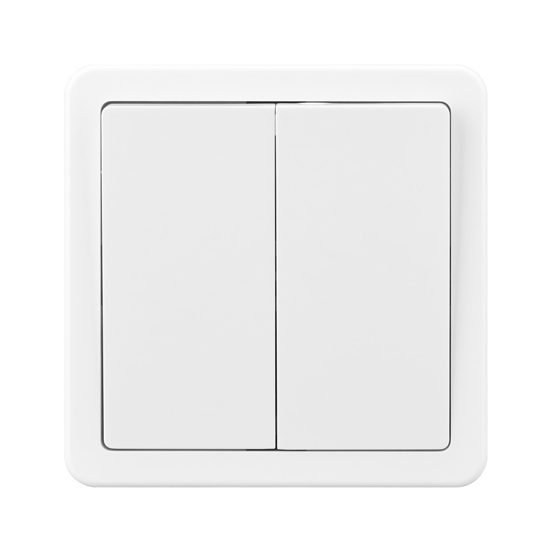2 GANG 1 WAY SWITCH